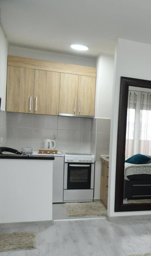 Apartmani Sofronic Loznica 2 Εξωτερικό φωτογραφία