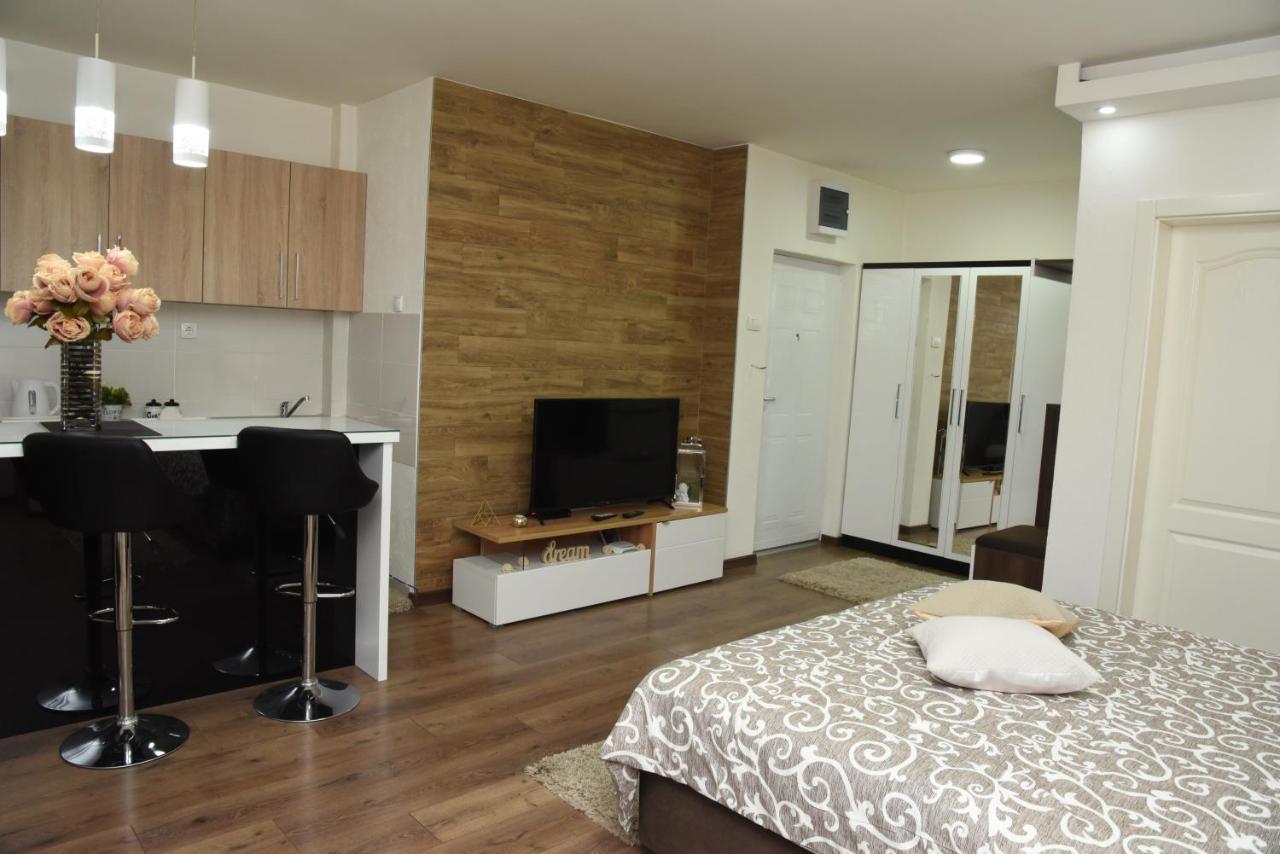 Apartmani Sofronic Loznica 2 Εξωτερικό φωτογραφία